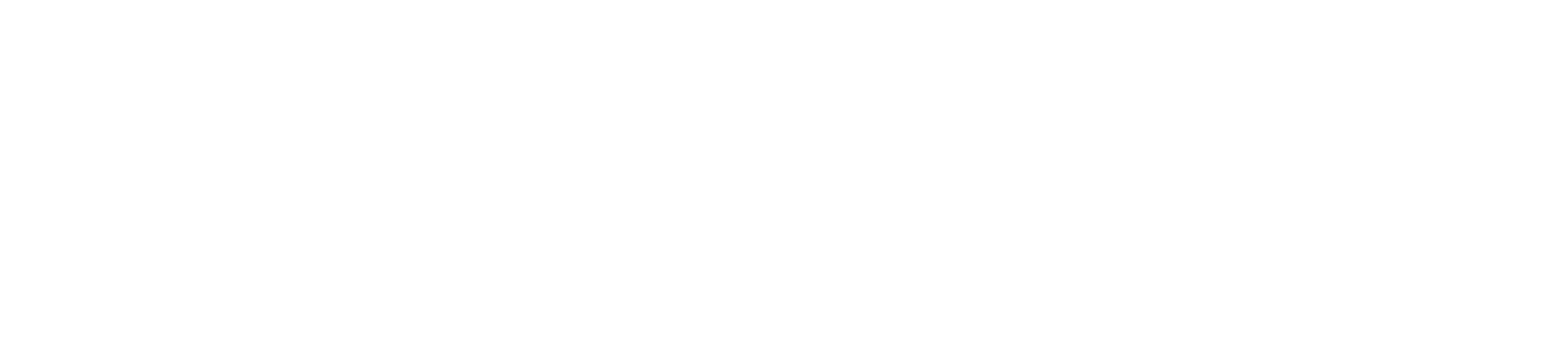noBgWhite logo